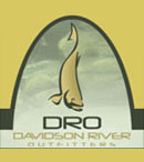 DRO Logo